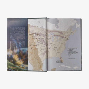 Patagonia Kirjat Path of the Puma: The Remarkable Resilience of the Mountain Lion Treeline Outdoors