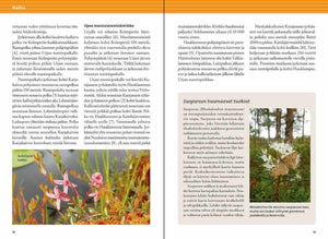 Calazo Kirjat Nuuksion retkeilyopas - Luonto, reitit ja kohteet Treeline Outdoors