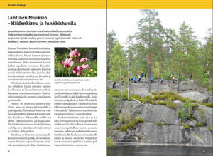 Calazo Kirjat Nuuksion retkeilyopas - Luonto, reitit ja kohteet Treeline Outdoors