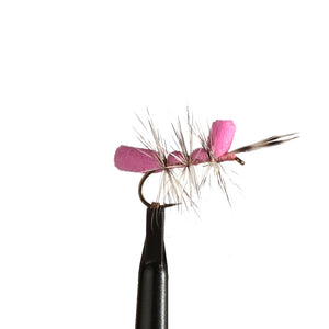 Spey Brothers Perhot Pupu Tupuna #12 Treeline Outdoors