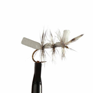 Spey Brothers Perhot Pupu Tupuna #12 Treeline Outdoors