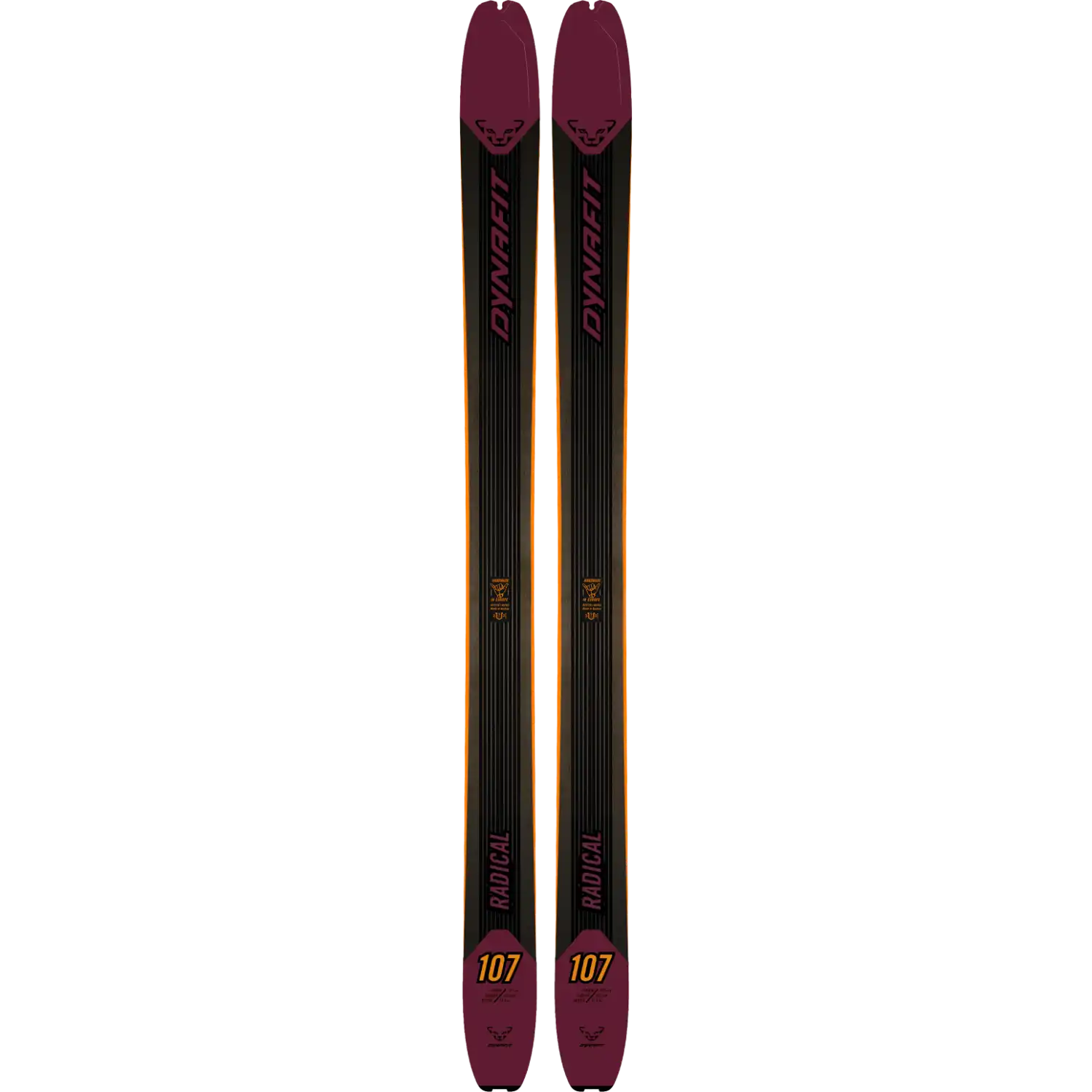 Dynafit Laskettelusukset Radical 107 Touring Ski 23/24 Treeline Outdoors