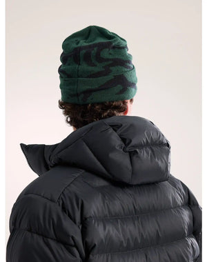 Arc'teryx Pipot Grotto Toque Treeline Outdoors