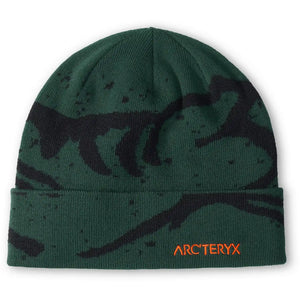 Arc'teryx Pipot Grotto Toque Treeline Outdoors