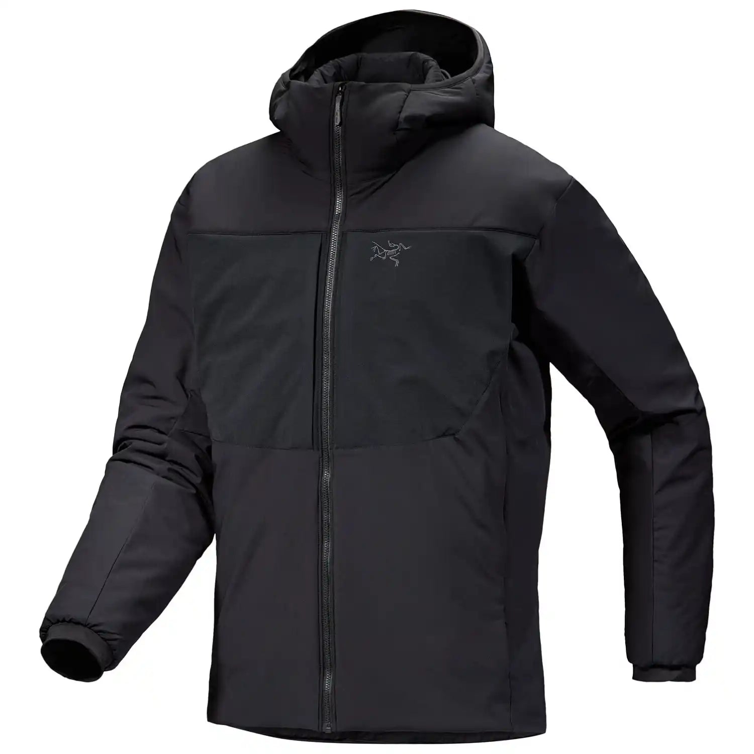 Proton Heavy Weight Hoody Men's