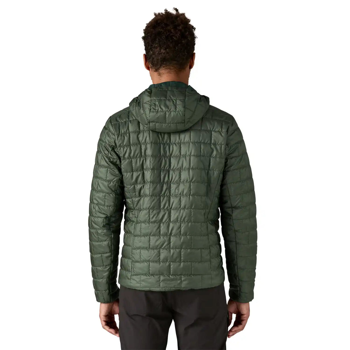 Nano Puff Fitz Roy Trout Hoody Men's