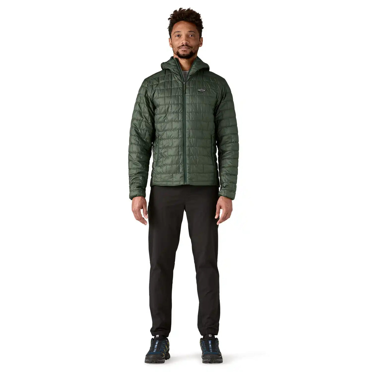 Nano Puff Fitz Roy Trout Hoody Men's