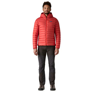 Down Sweater Hoody Men's