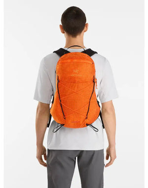 Aerios 15 Backpack