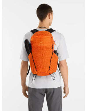 Aerios 15 Backpack