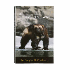 Patagonia Kirjat The Wolverine Way (softcover) Treeline Outdoors