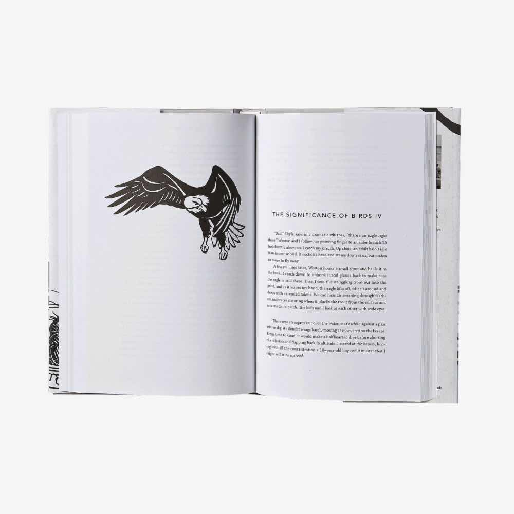 Patagonia Kirjat Closer to the Ground by Dylan Tomine Treeline Outdoors