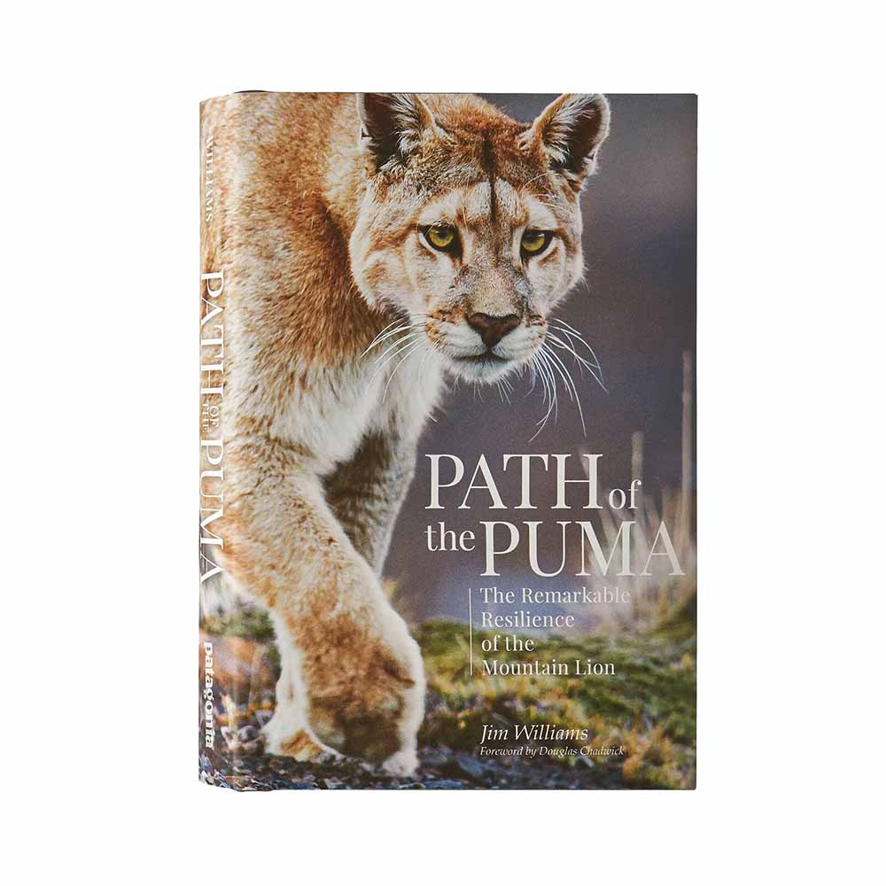 Patagonia Kirjat Path of the Puma: The Remarkable Resilience of the Mountain Lion Treeline Outdoors