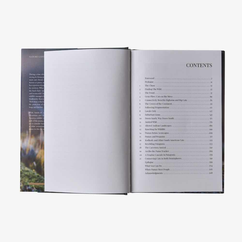 Patagonia Kirjat Path of the Puma: The Remarkable Resilience of the Mountain Lion Treeline Outdoors