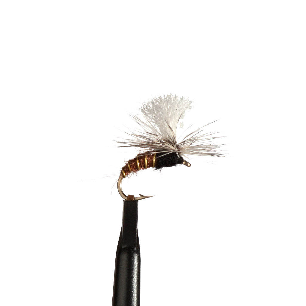 Spey Brothers Perhot Klinkhämer Treeline Outdoors