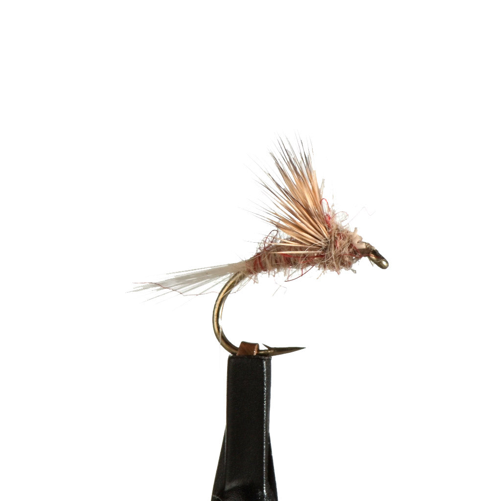 Spey Brothers Perhot Compara Dun Treeline Outdoors