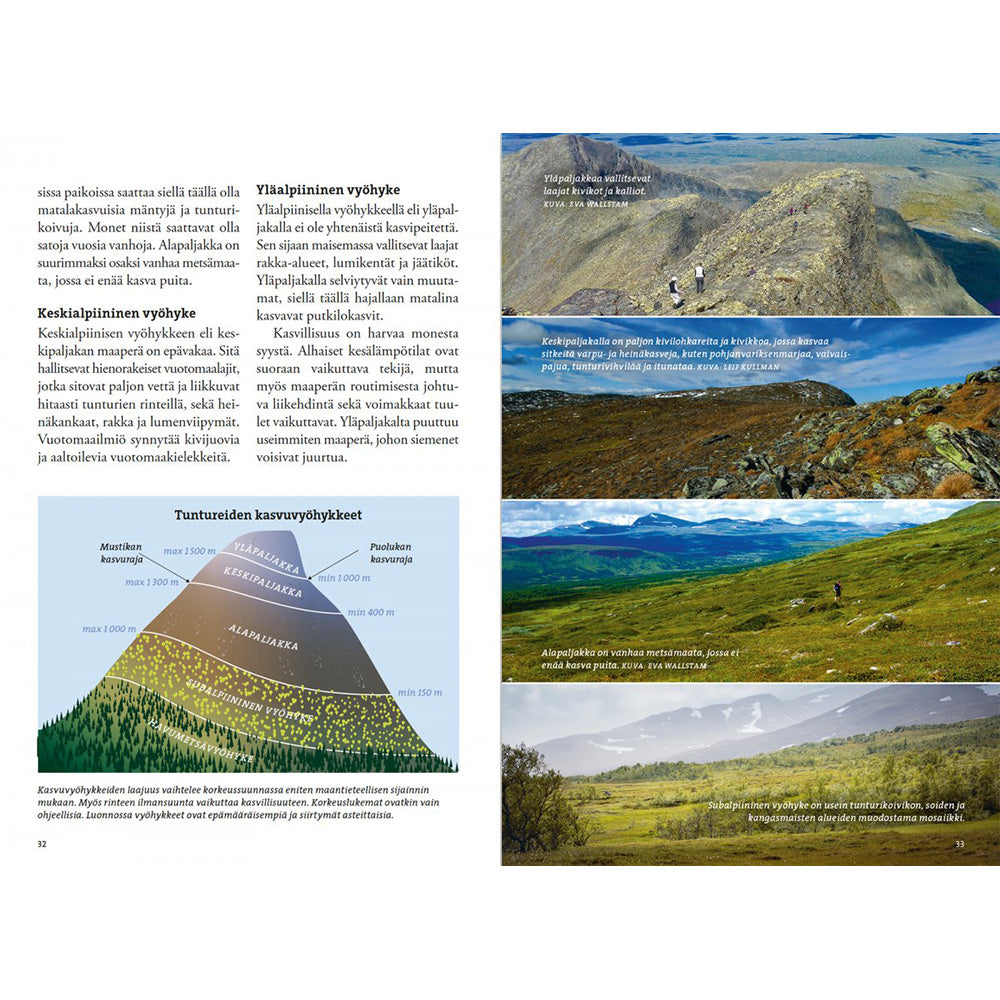 Calazo Kirjat Vaeltajan Tunturikasvio Treeline Outdoors